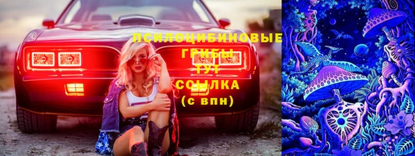 сатива Верхний Тагил