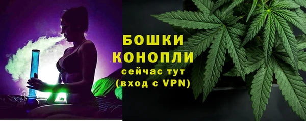 сатива Верхний Тагил