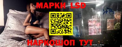 apvp Ярославль