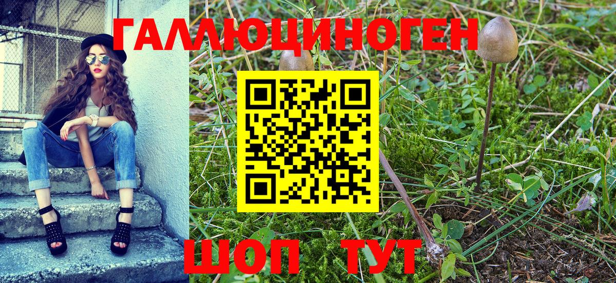 Псилоцибиновые грибы ЛСД  Вход с VPN  Галлюциногенные грибы мицелий  Вичуга 