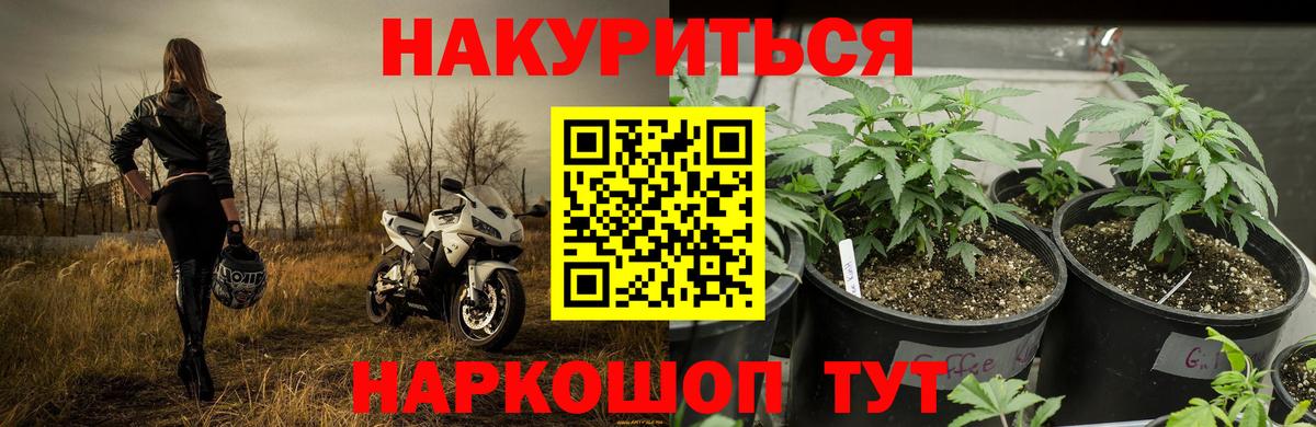 Канабис Ganja  Бошки Шишки SATIVA & INDICA  Вход с VPN  Вичуга 